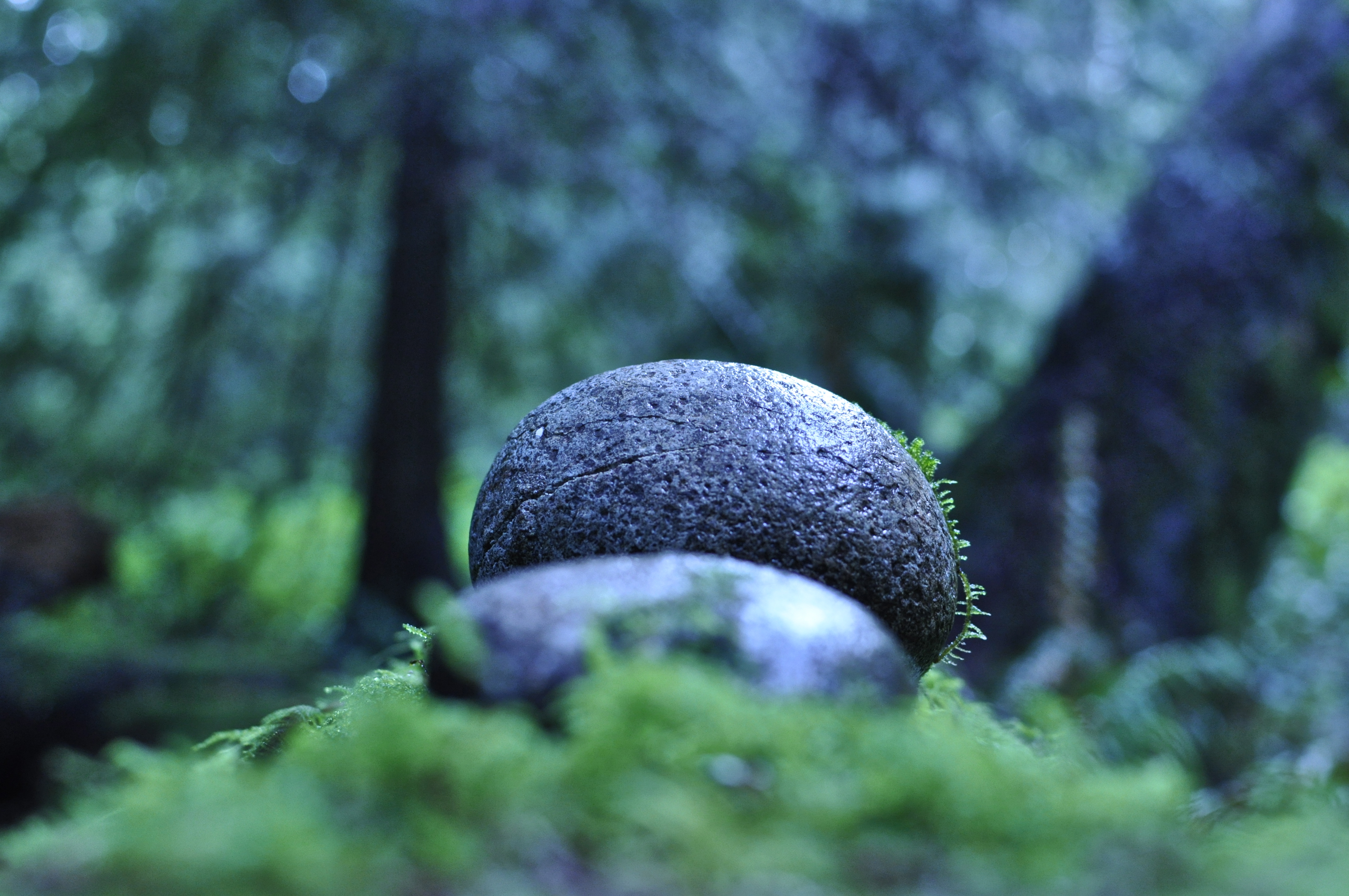 rocks, nature, galiano island, british columbia, art, abstract