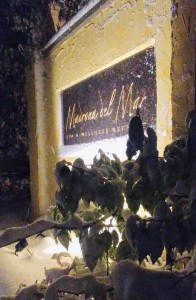 20190210_194725_hdr-1